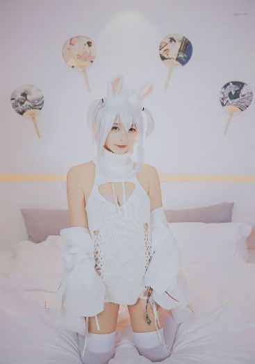 龙谷
