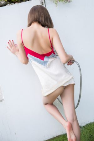 一枝梅