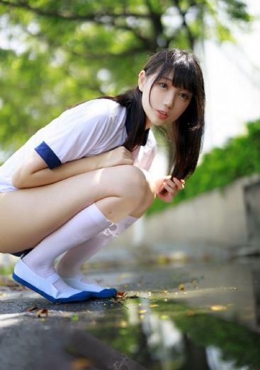 元泰公棚赛鸽公棚